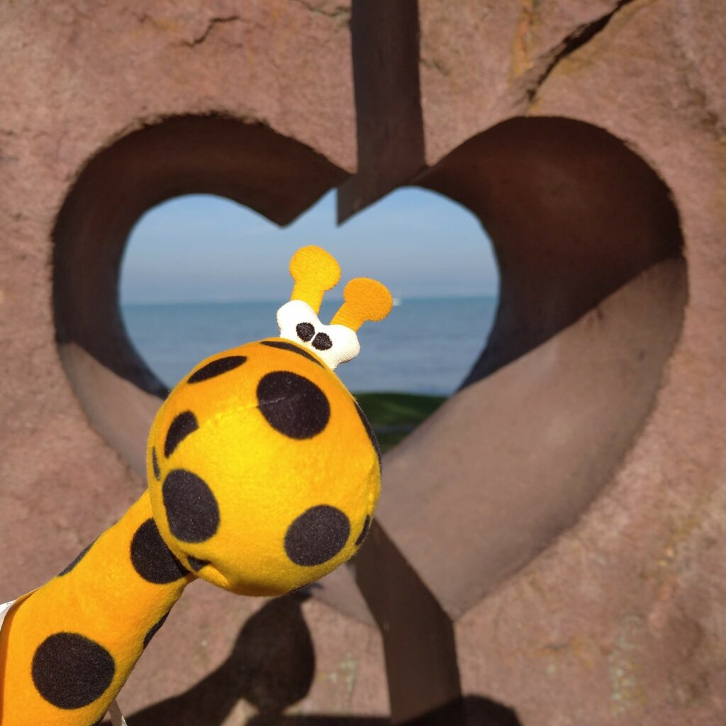 IMG_20221007_103527_1